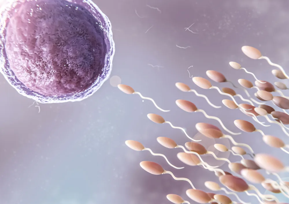 Fertilisasi In Vitro (IVF)